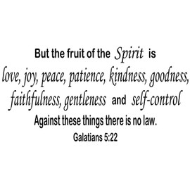 Galatians 5:22 11 x 22 Bible Verse Wall Decal by Scripture Wall Art ~ But The Fruit of The Spirit is Love Joy Peace Patience Kindness Goodness Faithfulness Gentleness and Self Control ~ Vinyl Quote