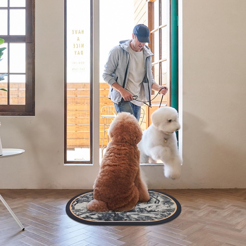 ROOMTONE Bath Mat, 40 x 60 cm, Absorbent and Non