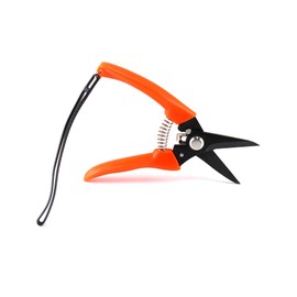 QWORK® Claw Shears for Sheep, Alpaca, Pig Hooves, Shrub Trimmer, Carbon Steel, 17.5 cm