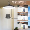 APILAB Solar Shed Light Indoor Outdoor, 2000LM Daytime Available Pendant