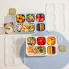 TOUWMX Bento Box Adult, 4 Pack 5 Compartments Meal Prep