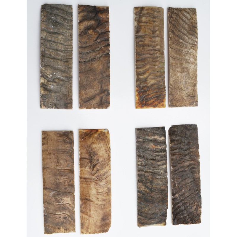 Whole Earth Supply 5 inch Ram Horn Handle Making Knife