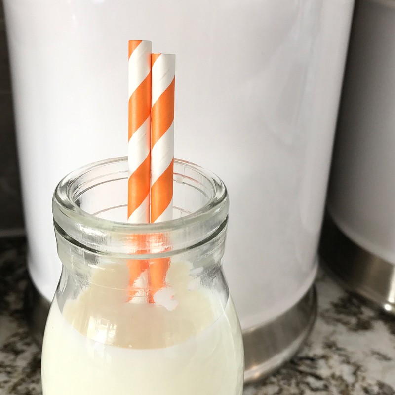Stripe Paper Straws - Party Supply - Orange White -