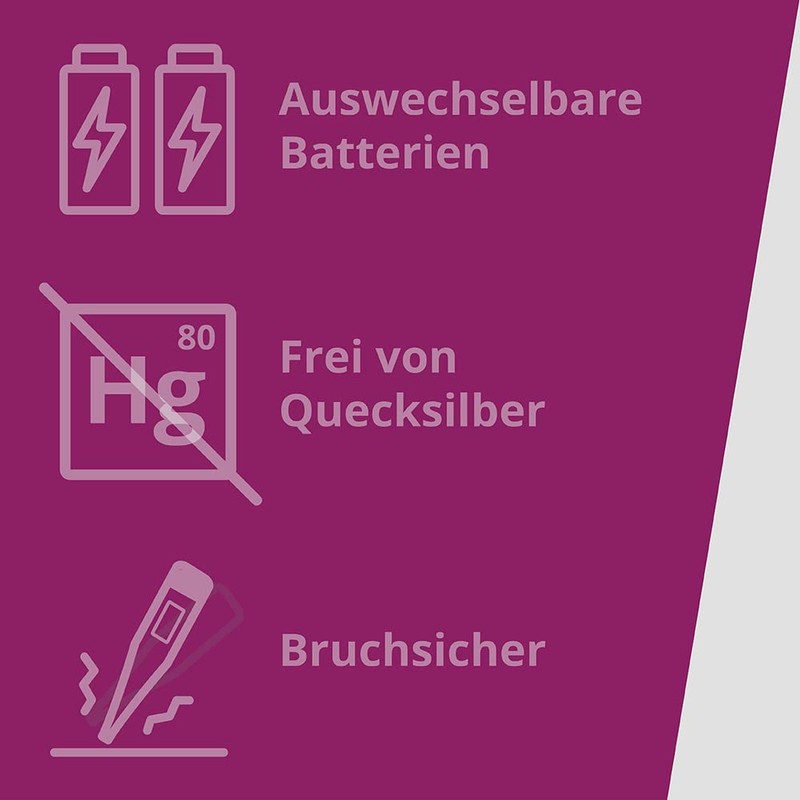 Digital Thermometer Digi Temp