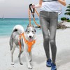 BARKBAY No Pull Dog Harness Large Reflective Dog Harness with