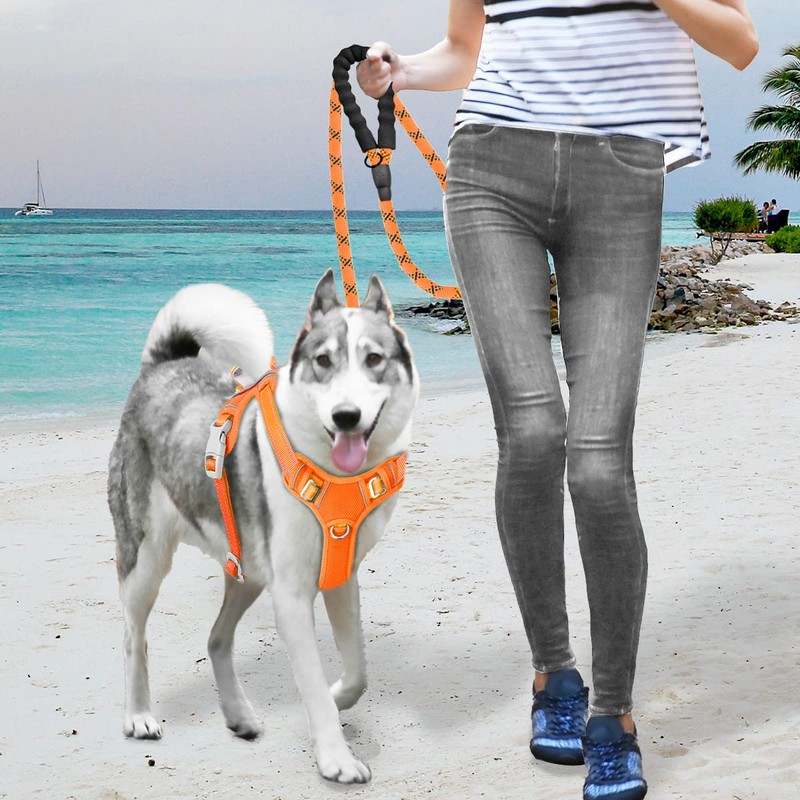BARKBAY No Pull Dog Harness Large Reflective Dog Harness with