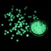 Ocobudbxw Luminous Sequins Glow In the Dark Glitters Resin Jewelry