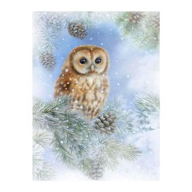 5D DIY Square Diamond Painting Cross Stitch Owl Needlework Full Square Diamonds Diamonds Painting by Numbers for Adults Beginners Embroidery Mosaic Wall Sticker Pictures 30 x 40 cm