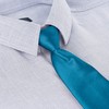 BomGuard Children's Tie with Silk Effect Shiny for Boys 2-5