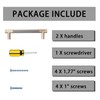 GTKHAAPPY Cabinet Handles 2-Pack 5'' Modern Grey & Gold Aluminum