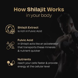 Auric Shilajit/Shilajeet Energy 60 Capsules | Lab Tested Pure Shilajit