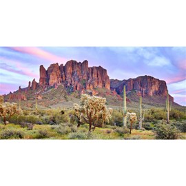 AWERT 36x18 inches Terrarium Background Blue Sky Cloud Mountain Huge Cactus Joshua Trees Oasis Gobi Reptile Habitat Background Durable Polyester Background