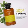 Apivita, Gentle Daily Shampoo with Chamomile & Honey 250ml