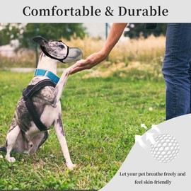 JOYPAWS Dog Muzzle, Breathable Soft for Medium to Large Dogs to Anti & Prevent Barking Biting Chewing, Reflective & Adjustable Basket Muzzle with Air Mesh for Beagle Grey L