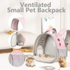 2-Pack Small Animal Backpack Carrier & Ceramic Hamster Hideout for