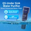 SYGOODLIFE SY GOODLIFE Q5-MU 0.01 Micron Under-Sink Quick-Change Water Purifier