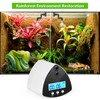 DAOTAILI Reptile Misting System | Automatic Humidifier with 2 Nozzles,