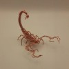 Wire Wrapped Scorpion 16ga Copper Cactus Garden Desk Home Decoration