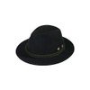 Faustmann Hüte Men's Costume Hat Black 'Stag Horn', Black, black