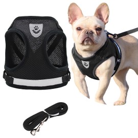 Petbuy Step in Dog Harness and Leash Set,Reflective Adjustable Soft Mesh Breathable Pet Vest Dog Harnesses Set, No Chock No Pull Padded Puppy Harnesses for Small Dogs and Cats (Black, Medium)