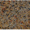 No-Till Cover Crop 13-Seed Mix: 50% Clovers Plus Fenugreek, Vetch,