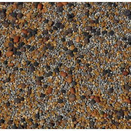 No-Till Cover Crop 13-Seed Mix: 50% Clovers Plus Fenugreek, Vetch, Flax, Cowpeas, Buckwheat, Forage Peas, Millet, Lentils (5-lb. Bag (Five Pound)