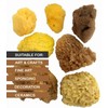 Artists Painting Natural Sea Sponges value pack - 7 pieces