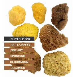 Artists Painting Natural Sea Sponges value pack - 7 pieces for Art & Craft, Paint, Hobbies, Effects, Ceramics, Pottery, Decorating, Sponging, Fine Art – Fine to Broad Texture,Sizes 1.5'-3.0'.