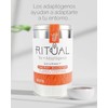 Té Verde ENERGY BOOSTER con Cordyceps – Vitalidad Natural Ritual
