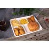 E.F.tableware Disposable Tableware, 100% Compostable Plate 100-Pack 5-Compartment Disposable Tray,