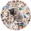100 Pcs Doodle Stickers DIY Cat Stickers Idea Cup Computer
