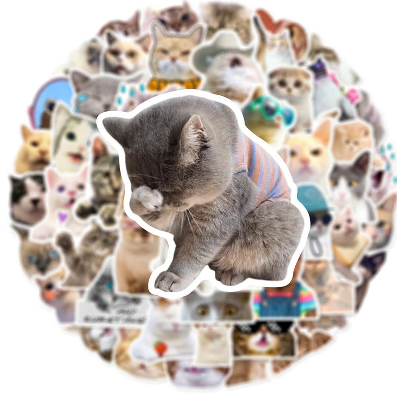 100 Pcs Doodle Stickers DIY Cat Stickers Idea Cup Computer