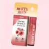 Burts Bees 버츠비 틴티드 립밤 4548952 Burt's Bees Tinted Lip Balm [[Authenticity Guaranteed] Rose 4.25g x 1 4548952]