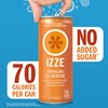 IZZE Sparkling Juice Beverage Blend, Sunset Variety Pack, Clementine, Peach,
