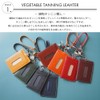 Arnold Palmer 4AP3283 Colorful Series Pass Case, Commuter Pass Case,