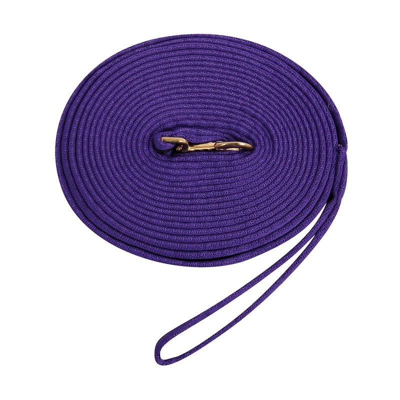 Kincade 2 Tone Padded Lunge Rein Pink