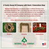 National Tree Company Pre-Lit 'Feel Real' Artificial Christmas Garland, Green,