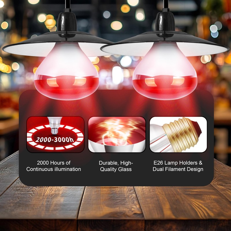 Zenhagu 250W R40 Red Heat Lamp Bulbs (4-Pack), Infrared Heat