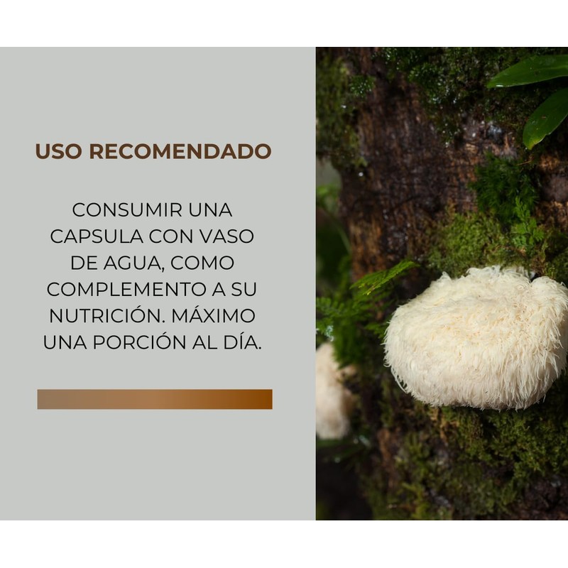 Pharmadan, Melena de León, Lions Mane, 60 cápsulas de 500