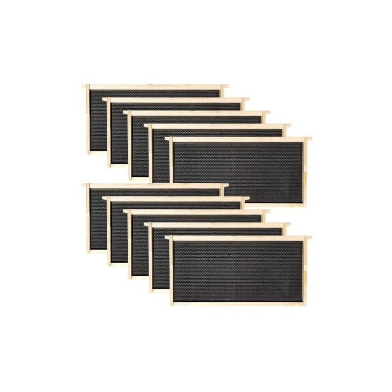 Hoover Hives - Deep Frames & Foundations (10 Pack)