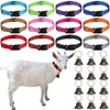 12 Sets Goat Collars with Bells Horse Sheep Grazing Cow