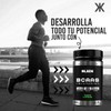 Aminoácidos Bcaas Glutamina Black Supplements 1kg Sabores
