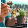 BESPORTBLE 16pcs Plant Pollinator Brush for Succulent and Fruit Trees