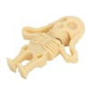 U Disk USB2.0 3 Dimensional Skulls Particular Data Storage Gifts