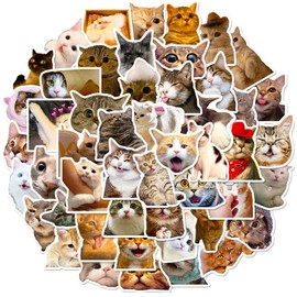 Hebterrka Pack of 100 Cat Stickers, Funny Cat Stickers, Cute Cat Stickers, Waterproof Cat Vinyl Stickers for Adults, Teenagers