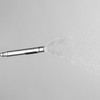 Dual Jet Hand Shower Solid Round Highline