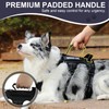 Escape Proof Dog Harness Medium Sized Dog, Six-Point Adjustable Service