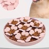 Cat Pet Silicone Slow Food Mat with Suction Cup Cat