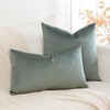 Artscope Luxury Velvet Cushion Covers Super Soft Decorative Throw Pillow