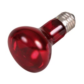 Trixie Infrared heat spot lamp.